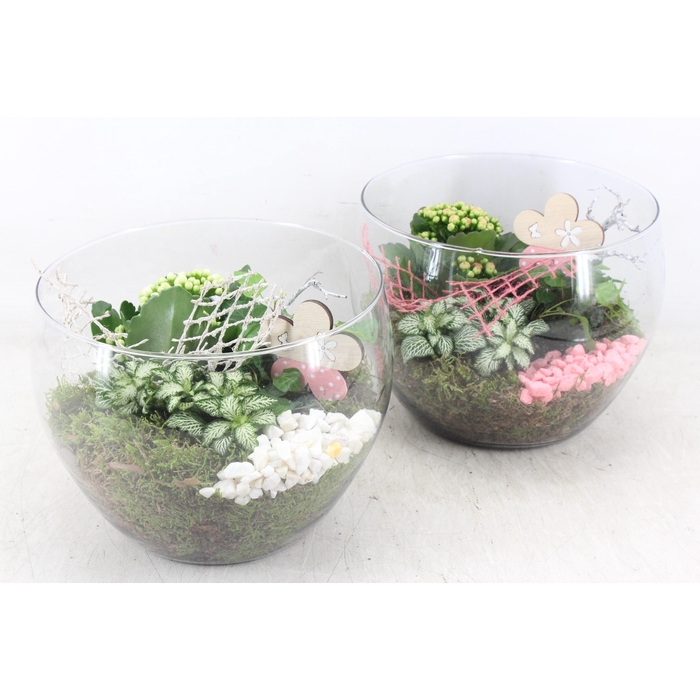 <h4>Arr2 Mb - Glas Schaal Hoog X2 - Roze/wit</h4>