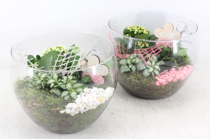 <h4>arr2 MB - Glas schaal hoog x2 - roze/wit</h4>