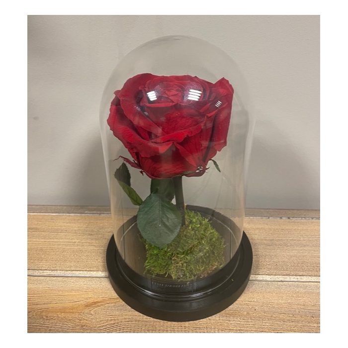 <h4>Stolp d12x20h XL rood glas</h4>