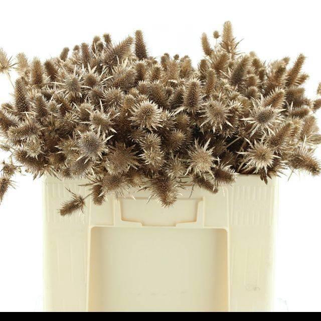 <h4>Eryn A Ov Klb H%</h4>