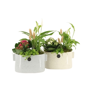 41530: Consideration arrangement