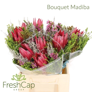 Bouquet Madiba Caroucel