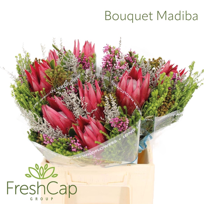 <h4>Bouquet Madiba Caroucel</h4>