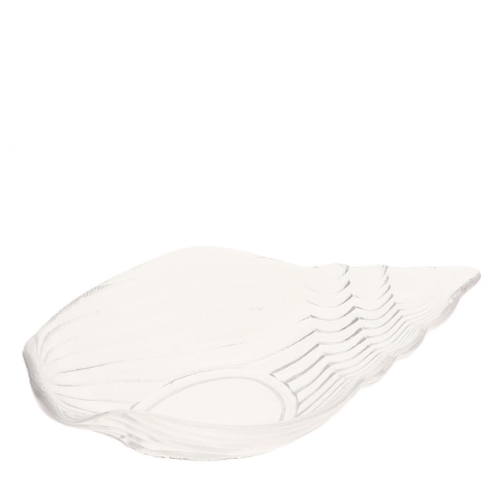 <h4>Maritiem Glas schelp schaal d20*12*5cm</h4>