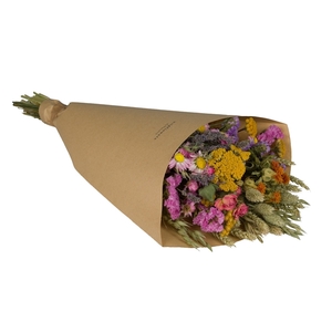 Droogbloemen-Field Bouquet Large 60cm-Multi