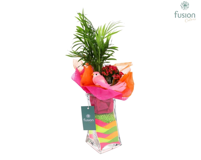 <h4>Glazen Twistervaas D10</h4>