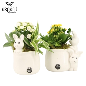 70824: Easter arrangement