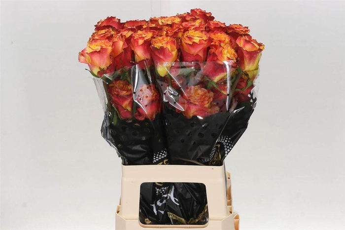 <h4>R Eq Newsflash</h4>