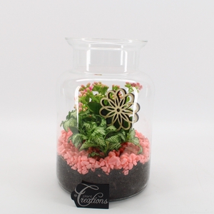 BACR-2506RZ Basic fundamentals terrarium