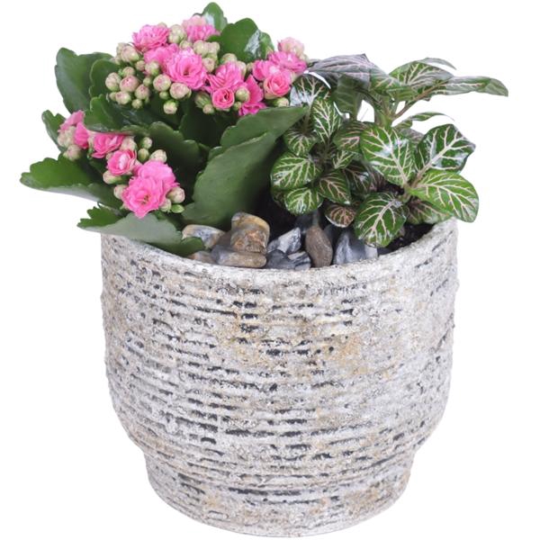 <h4>Yearround Arr. Indoor Ceramic Naturel Touch N567 Ø14cm 2PP</h4>