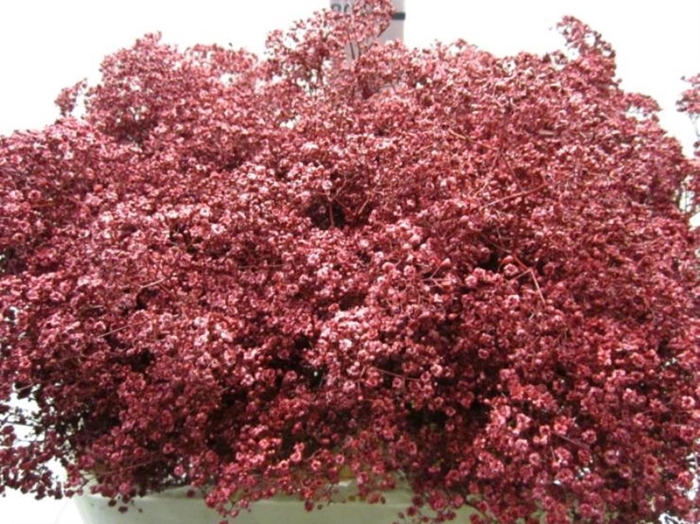 <h4>Gips Mill St Bordeaux / Glitte</h4>