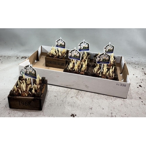 Arr.   Bol/Knolgewas L%