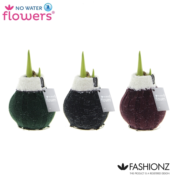 <h4>No Water Flowers® Fashionz Cozy Wooly</h4>