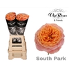 R GR SOUTH PARK