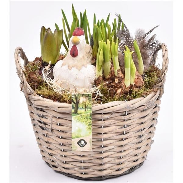 <h4>Wilg mand grijs met oor 23cm</h4>