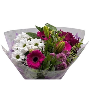 BQ 140 LISANNE CERISE (10 STEMS)