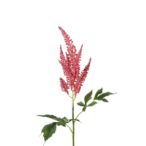 Artificial flowers Astilbe 67cm