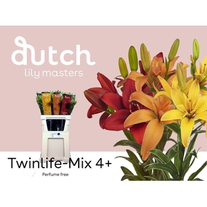 LI LA TWINLIFE MIX 4+