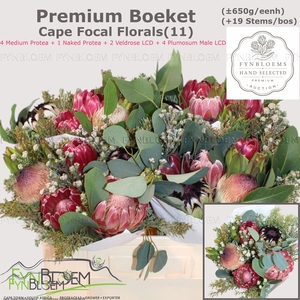 PROTEA PER BOS