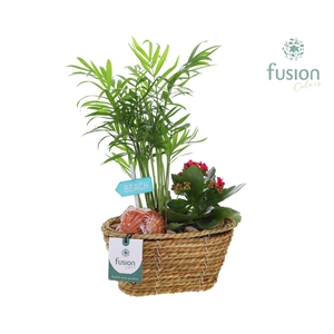 Mand zeegras ovaal Maritiem met Arrangement