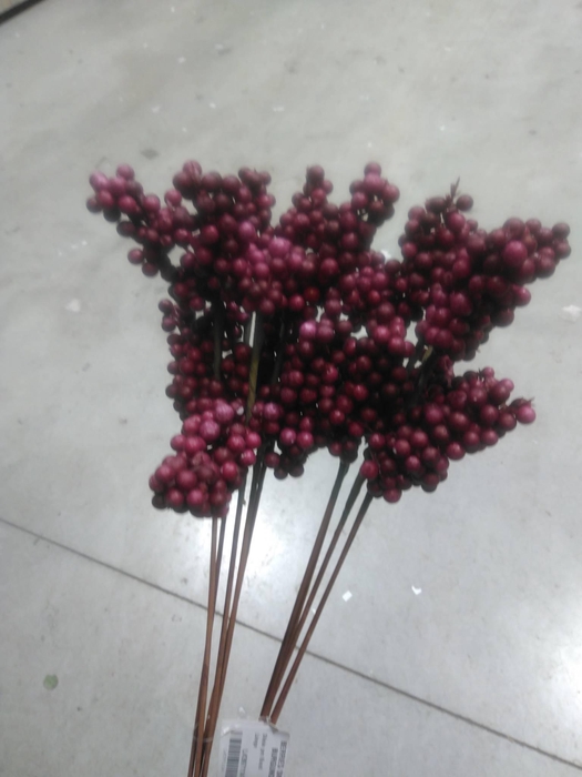 <h4>BERRIES SMALL BURGUNDY</h4>