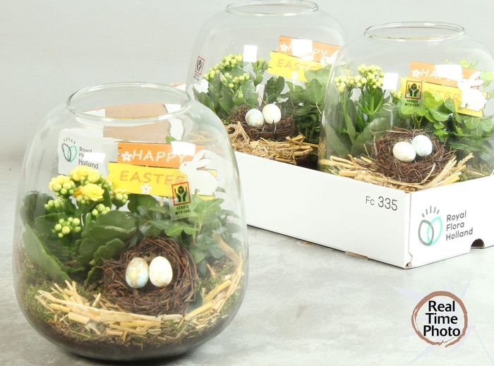 <h4>ARR KAMERPL</h4>