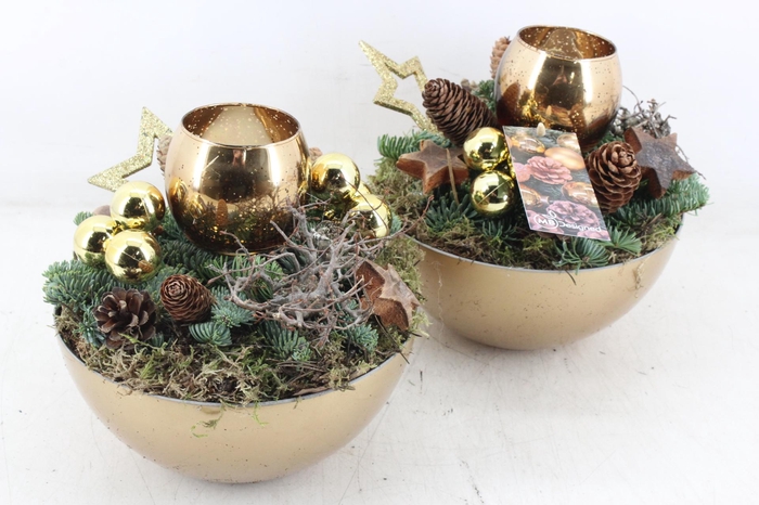 <h4>arr5 Kerst MB - Coupe x5 gold bolwax NEW</h4>