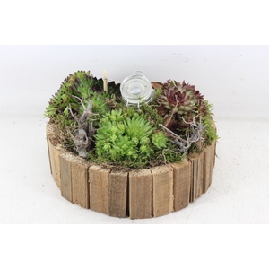 arr4 Semp MB - Hout latjes rond