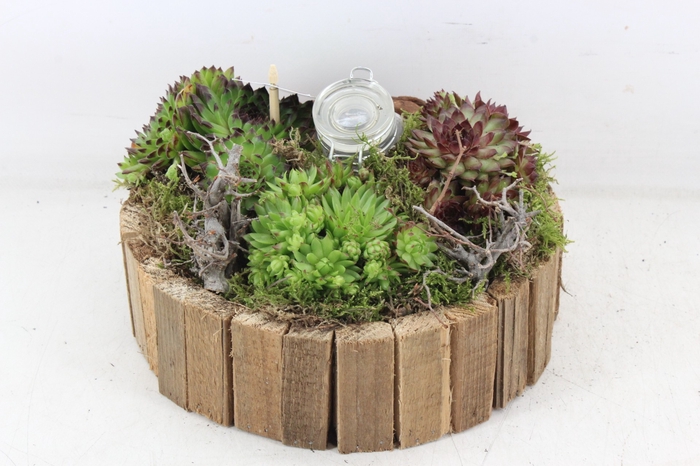 <h4>arr4 Semp MB - Hout latjes rond</h4>