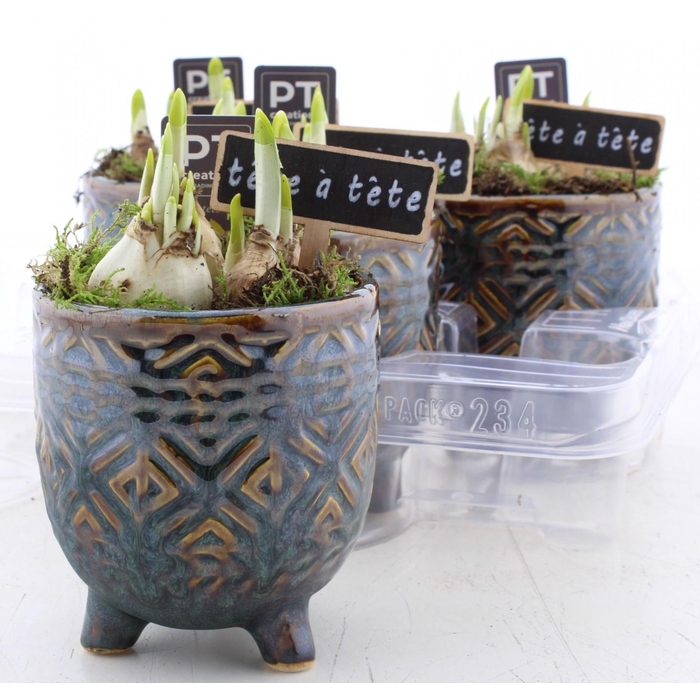 <h4>ARR N TETE A TETE</h4>