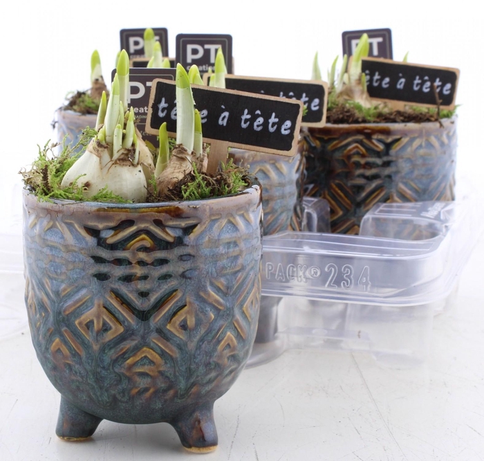 <h4>ARR N TETE A TETE</h4>