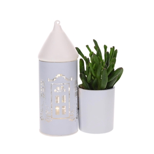 LED Duo glazen huis met Succulent
