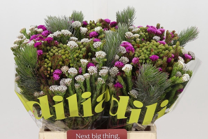 <h4>BQ Kaaps Groen Mountain Mix</h4>
