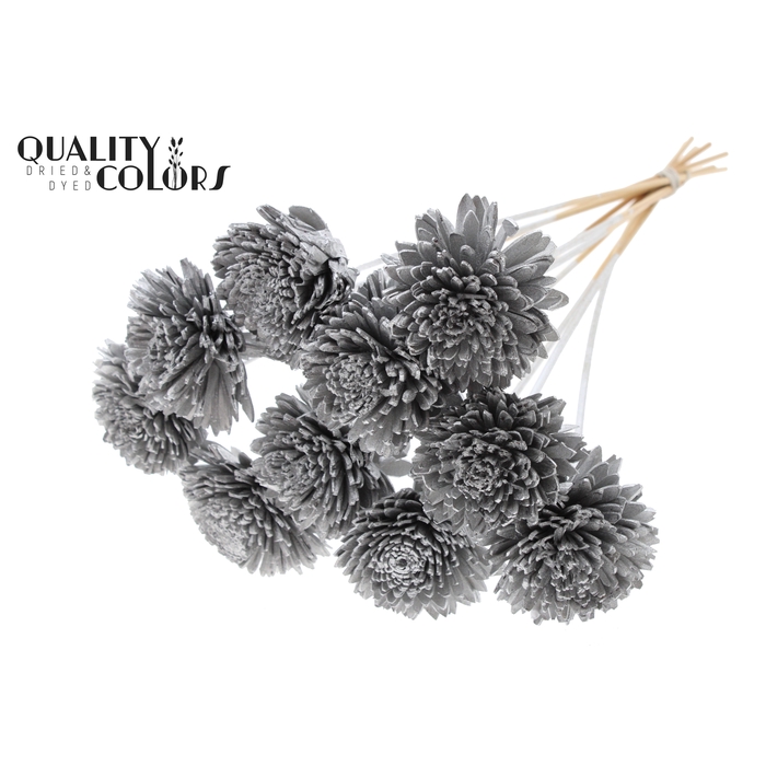 <h4>Shola Zinia Ø8cm on stem Silver</h4>