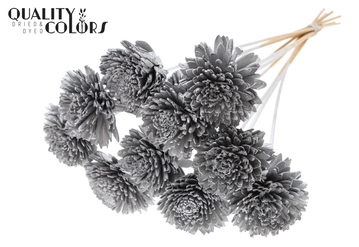 Shola Zinia Ø8cm on stem Silver