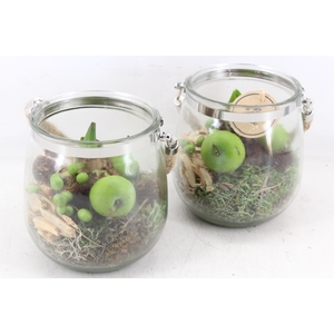 arr4 Amaryllis PL - Glas regla rope 813/3