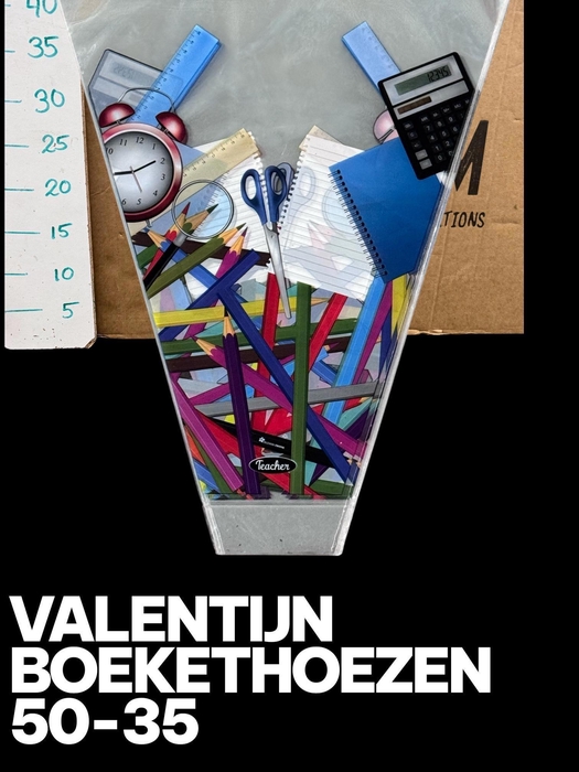 <h4>HUIS EN TUINDECO H%</h4>