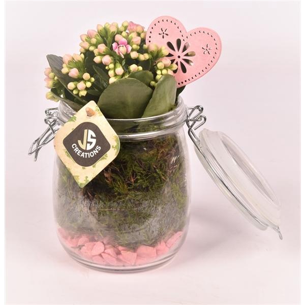 <h4>Arrangementen kamerplanten groen 6%</h4>