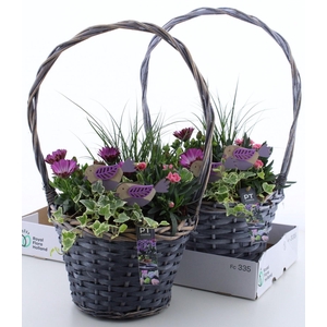 ARR TUINPLANTEN