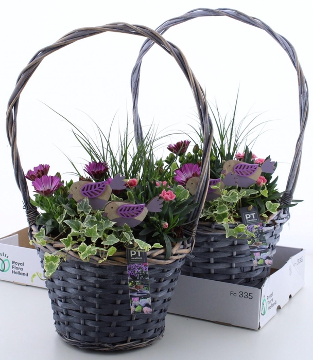 <h4>ARR TUINPLANTEN</h4>