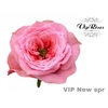 R GR VIP NEW SPR