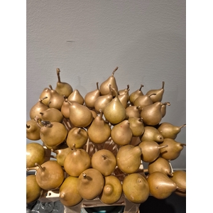 WAX PEER OP STOK H%
