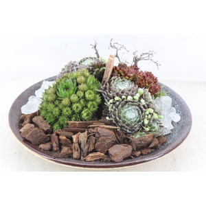 arr4 Semp PL - Ker. luxe bord L 401/2