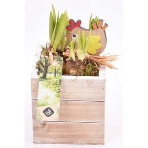 Hout box white wash 10x10cm