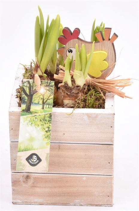 <h4>Hout box white wash 10x10cm</h4>