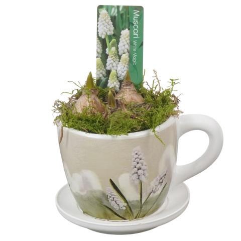 <h4>PTWMB8156 Arrangement Muscari White in keramiek kop en schotel</h4>