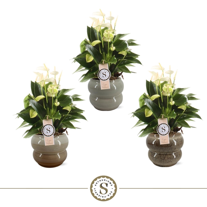 <h4>Bocelli Keramiek White 14cm</h4>