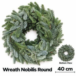 ABIES NOBILIS BLAUW