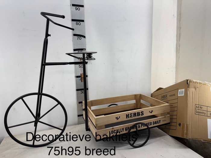 <h4>HUIS EN TUINDECO H%</h4>