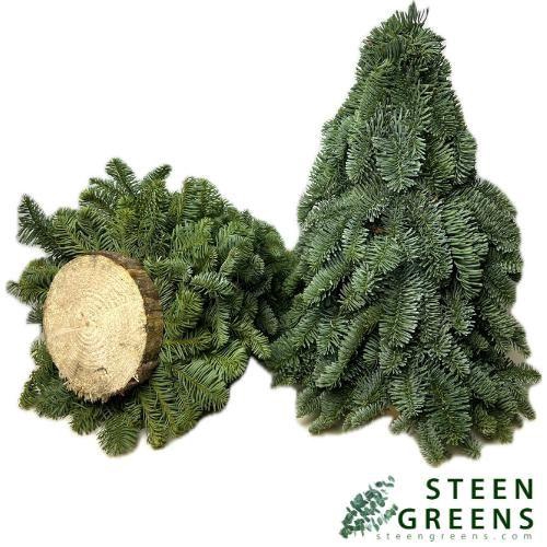 <h4>ABIES NOBILIS BLAUW</h4>